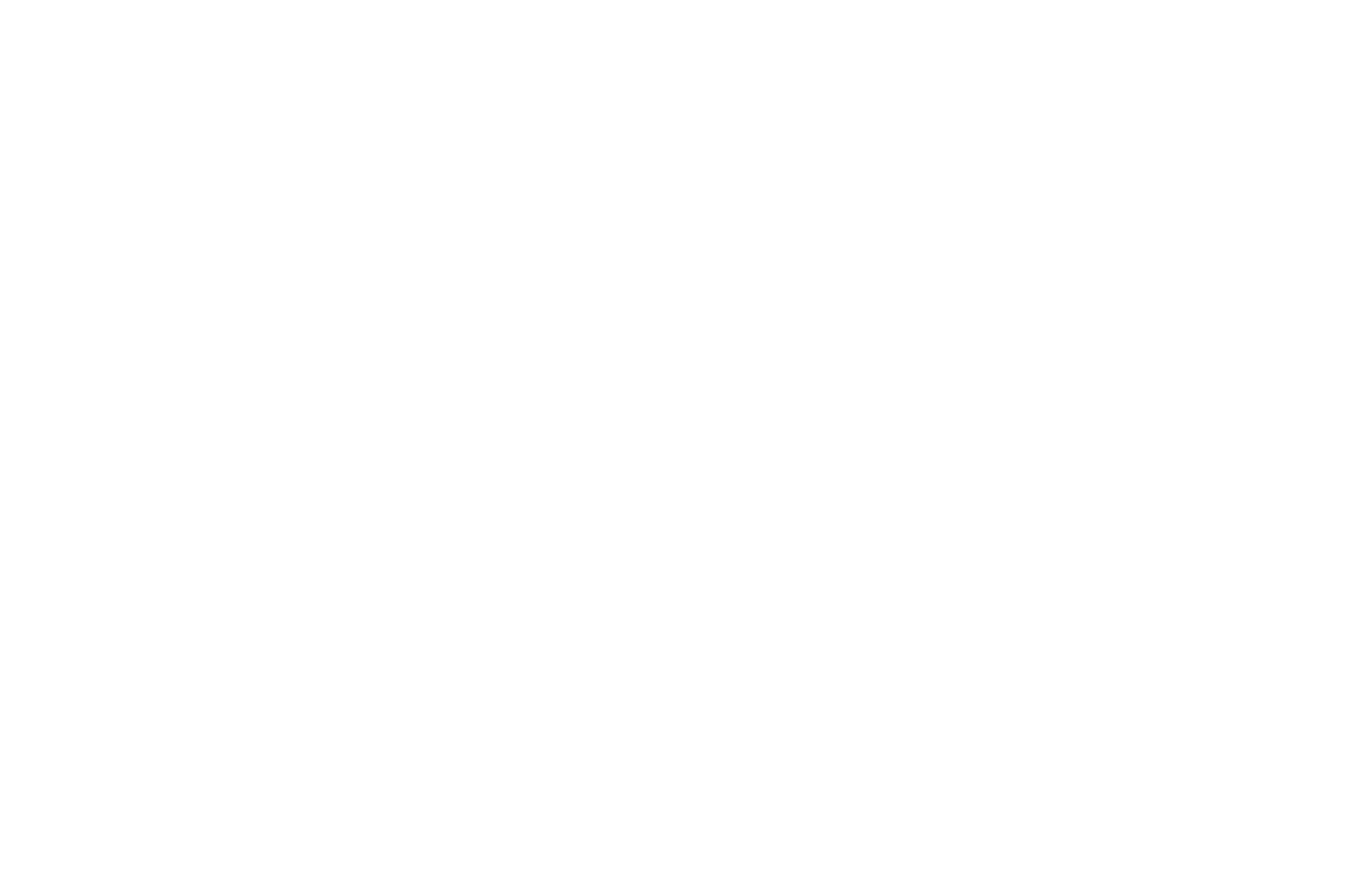 Data Vanguards